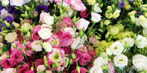 Поштучная розница